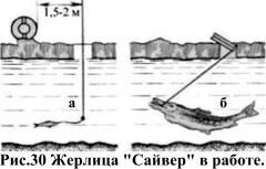 Сайвер