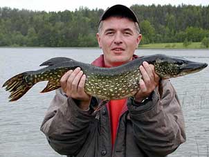 Ловля щуки Ловля щуки